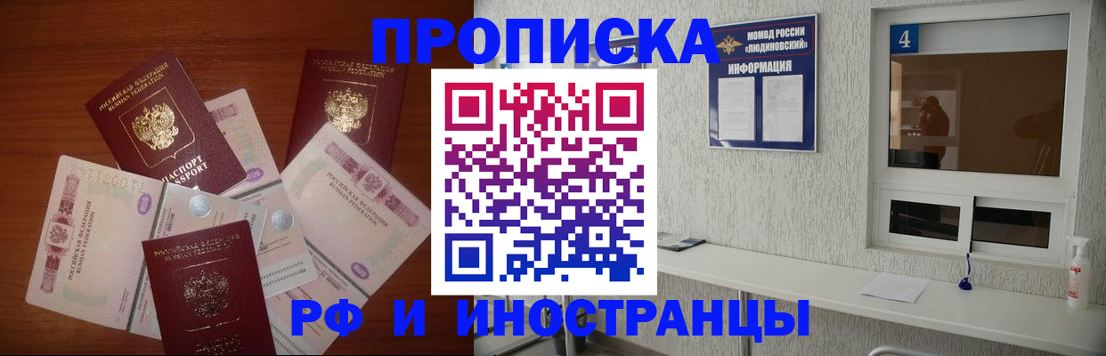 прописка ребенка в Шали